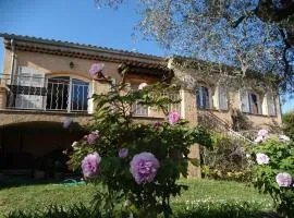 Villa les seringas