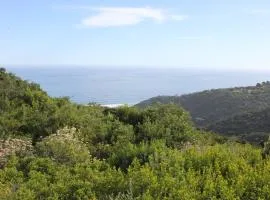 WILDERNESS SEASIDE ESCAPE