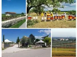 B&B Biobonizio PIERLUIGI