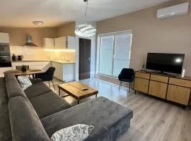 Samorin Loft with large terrace