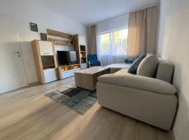 Bella Home 2, your place to stay in Lugoj