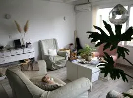 Casa Amonite Hostel Boutique