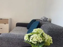 Autonomia House IV