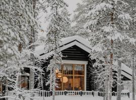 Kiilopää Lodge Lapland Cabin，位于Kakslauttanen的酒店