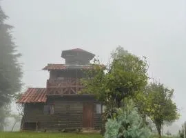 Bosque de Niebla