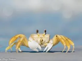 Guaruçá Pousada Apart Hotel