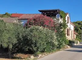 Apartments with parking space Rukavac, Vis - 23763