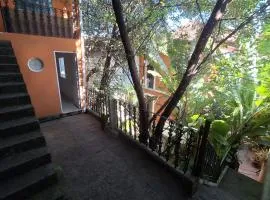 Casinha Laranja