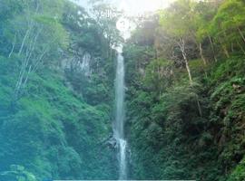 Villa Awan 2 Kota Batu, отель в городе Tlekung