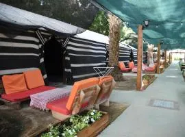 חאן שירת הערבה