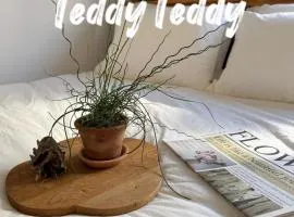 TeddyTeddy