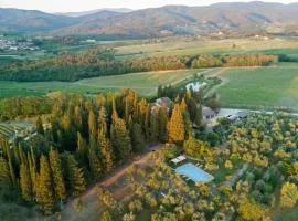 Vigna Home Amazing Site Chianti Classico - Happy Rentals