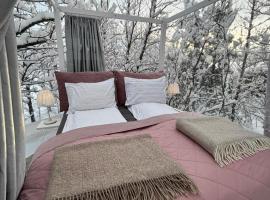 Northen Light Igloo - Eyja Mörk South Coast Iceland, hotel v destinaci Stora Mork