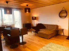 Kuremaa Sauna Apartment