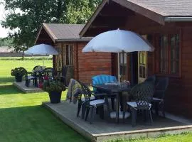 tHoefijzer Luxere Blokhutten 5 pers en Mini Camping