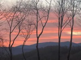 Stunning Mountain View Cabin-Pet-Friendly-Quiet-Private-15 Min from town