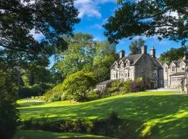 Tan Llan