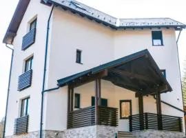 Vila Epic&Slanic Moldova