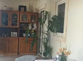 House with garden in Marinha da Mendiga