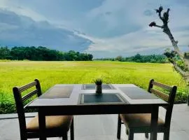 Honey Dew Villa Minuwangoda