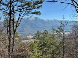 3BR with mtn view and hot tub in Wears Valley!