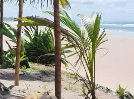 Licuri Praia de Algodões