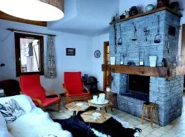 Chalet authentique à La Plagne, 4 chambres, cheminée - FR-1-353-135
