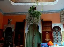 Riad Idrissi