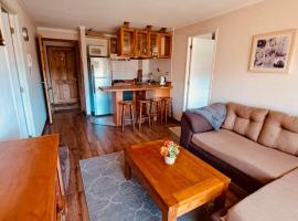 Depto Pucon WIFI Internet full equipado a 5 min de lago y centro, acomoda&ccedil;&atilde;o com onsen em Puc&oacute;n