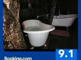 Tree House 4 Two