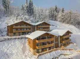 Chalet in Wagrain near Flying Mozart Ski Lift