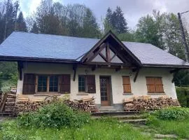 Chalet La DIAT en chartreuse
