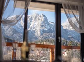 Yael Luxury Apartments 5, acomoda&ccedil;&atilde;o com cozinha em Buşteni