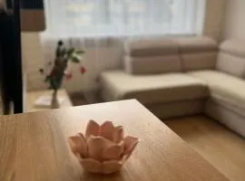 Aurora Apartments close to the city centre and the sea