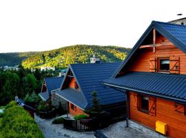 Alpejskie Domy Ski House – domek górski w mieście Krynica Zdrój