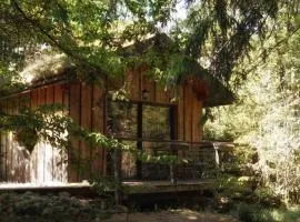 Chalet toit vegétalisé