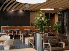 Brezovina B208 Oravské Veselé - ORAVA