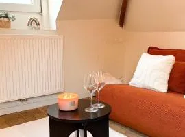 Cosy Authentiek Penthouse