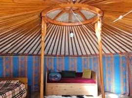 Apache Eco Camp, Terelj Nationalpark Mongolia