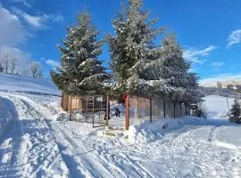 Casa Corina Sirnea