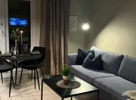 Comfort Apartment in Lone Only 20 minutes away from the heart of the city!