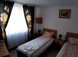 Acasa in Piatra Neamt