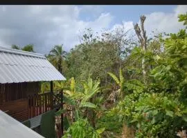 Lala's Place