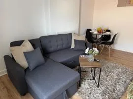 Cosy 1 Bedroom Apartment in the heart of Barry Flat 3