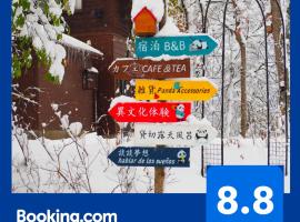 Snowfall Meteor 飛雪流星