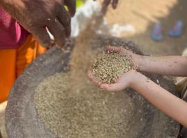 Totora House, viešbutis mieste Rincón