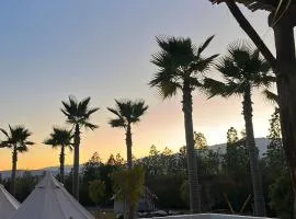 Superides Camp