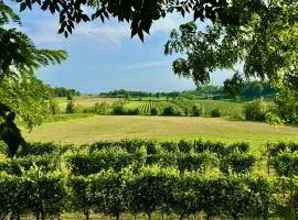 Residenza Le Vigne