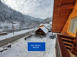 Pensiunea Piatra Mandrutului, chalupa v destinaci Scărişoara