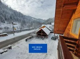 Pensiunea Piatra Mandrutului